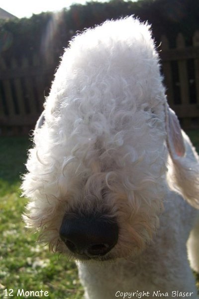 100_8332 - Kopie.jpg